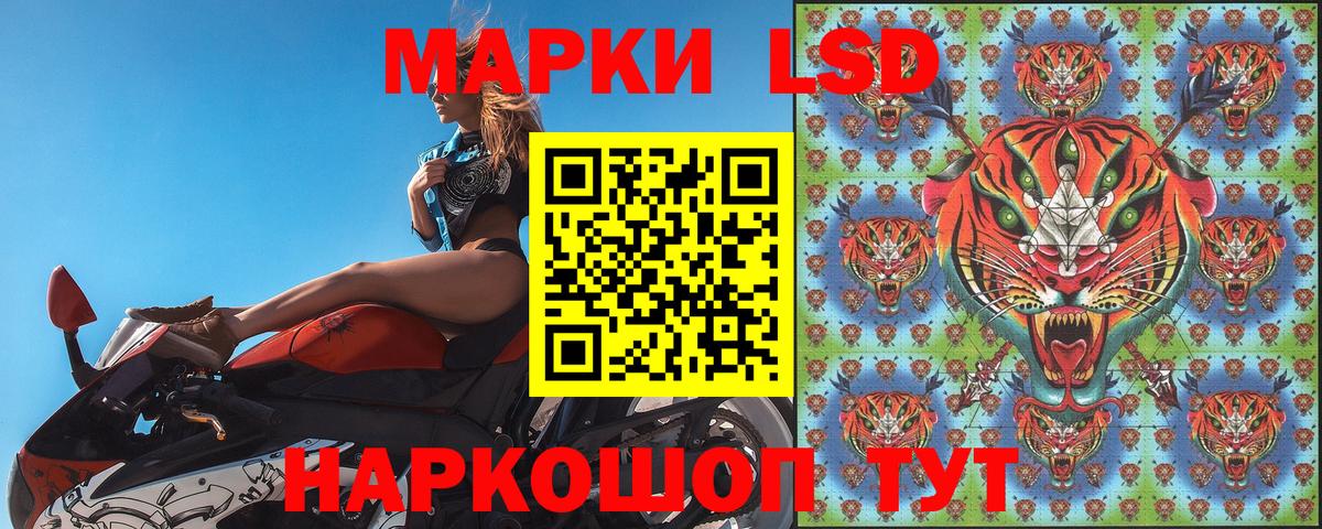 Наркотические марки 1,5мг  Наркотические марки 1,5мг  Ярцево  Вход с VPN 