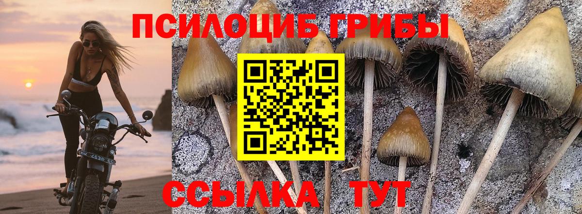Псилоцибиновые грибы MAGIC MUSHROOMS  Галлюциногенные грибы Cubensis  Вход с VPN  Ярцево 